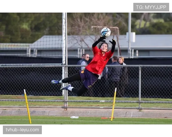 2023世界杯群星闪耀：多国足球巨星状态回勇，强势展现巅峰实力