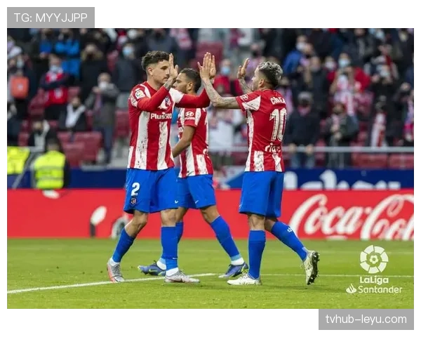 科雷亚续约四年迎新突破，状态备受期待