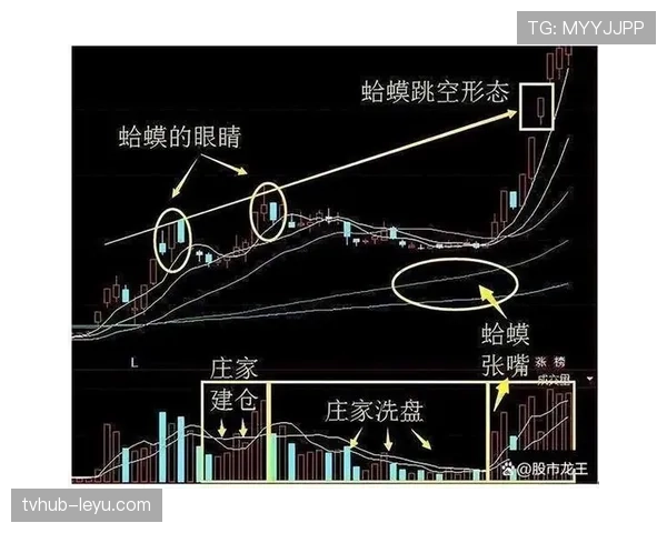 马里队逆风翻盘战术解析：进攻套路如何改写比赛走势