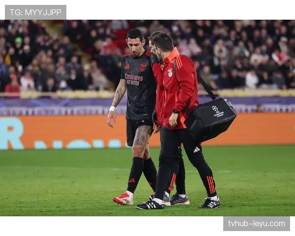 VAR介入判罚的四大标准，裁判到底怎么决定暂停比赛？